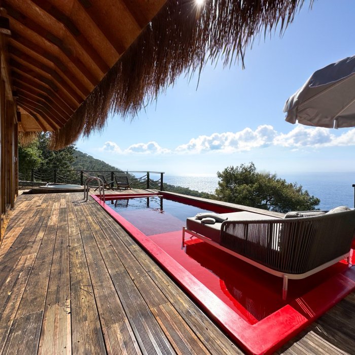 Paradise